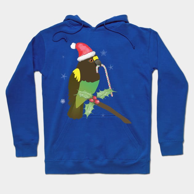 A cute Christmas Meyer's parrot Hoodie by Bwiselizzy